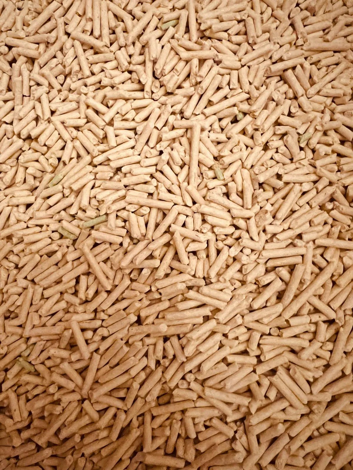 Close-up of biomass wood pellets used for renewable energy