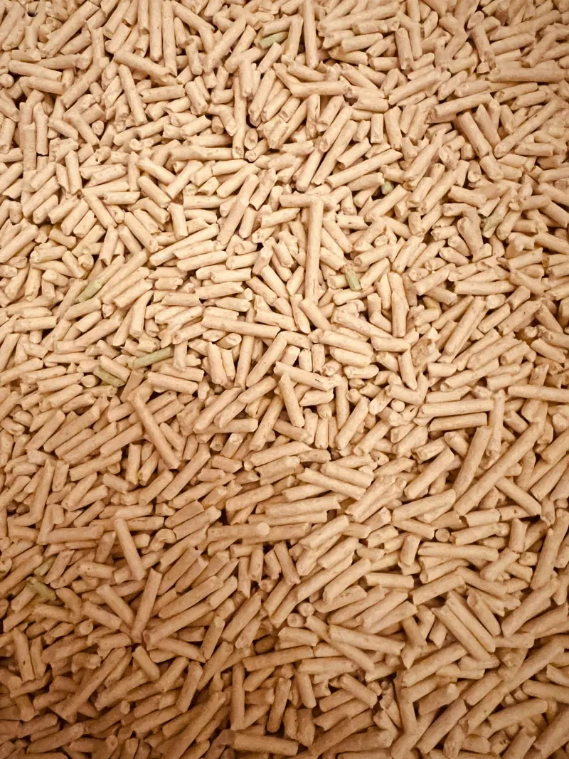 Close-up of biomass wood pellets used for renewable energy